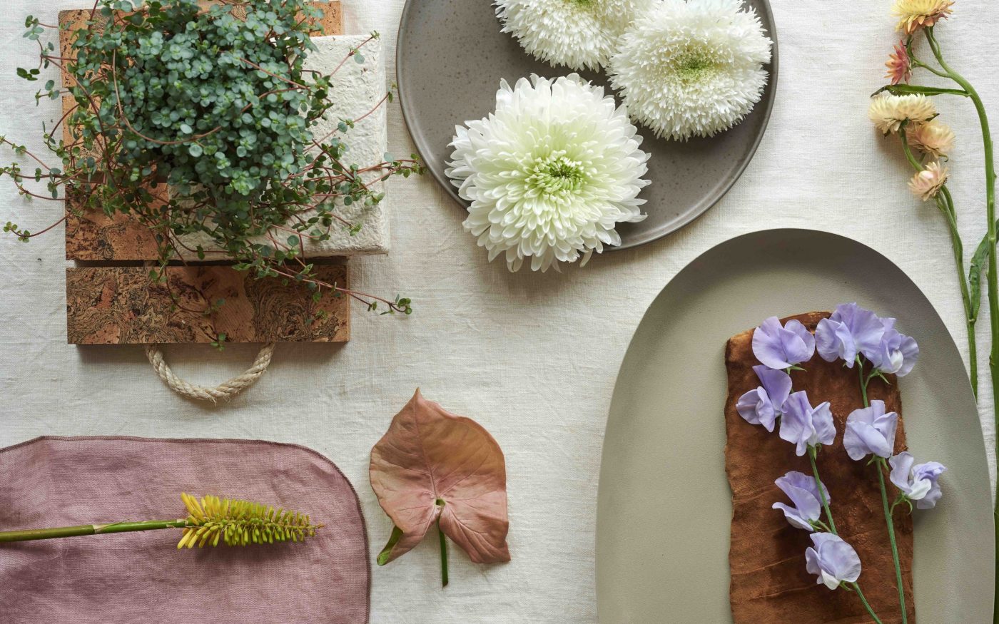 Mooiwatplantendoen.nl