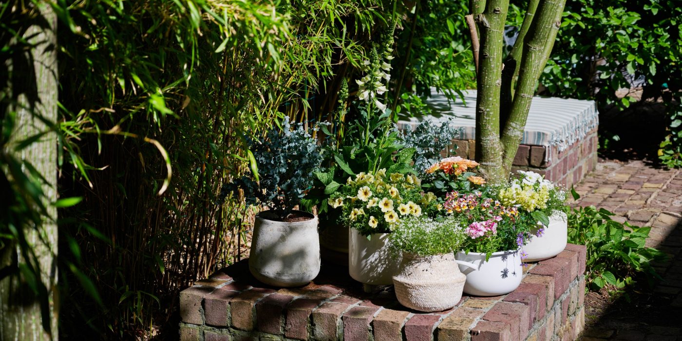 Tuintrends 2023 - Sfeer tuinen