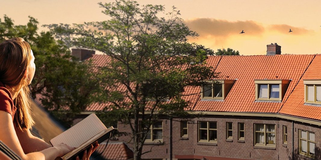 Sfeerbeeld van het Hollands dak