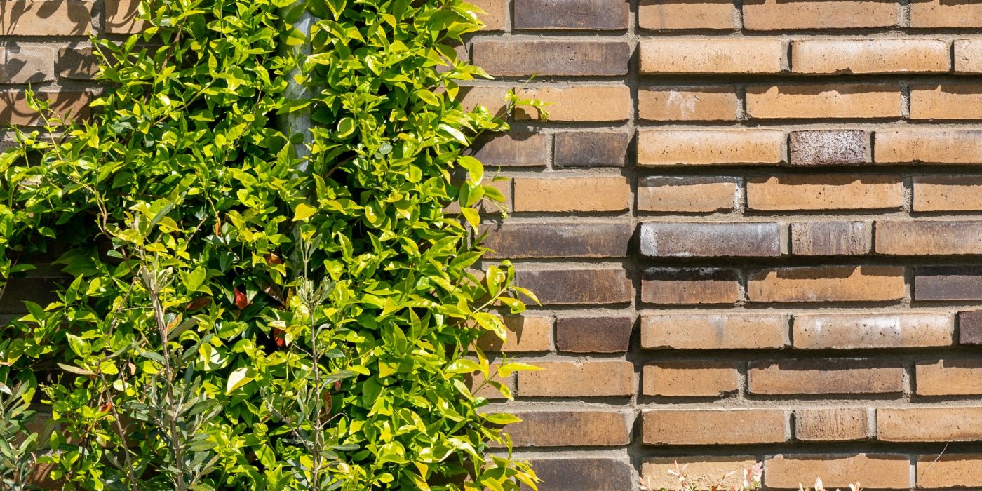 Nieuwbouwproject 130 woningen | Historische tuin, Nijmegen